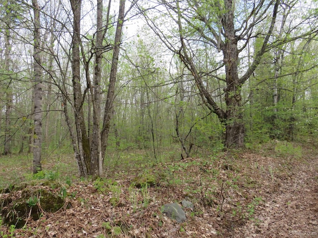TBD US-2 Hwy, Marenisco, MI 49947