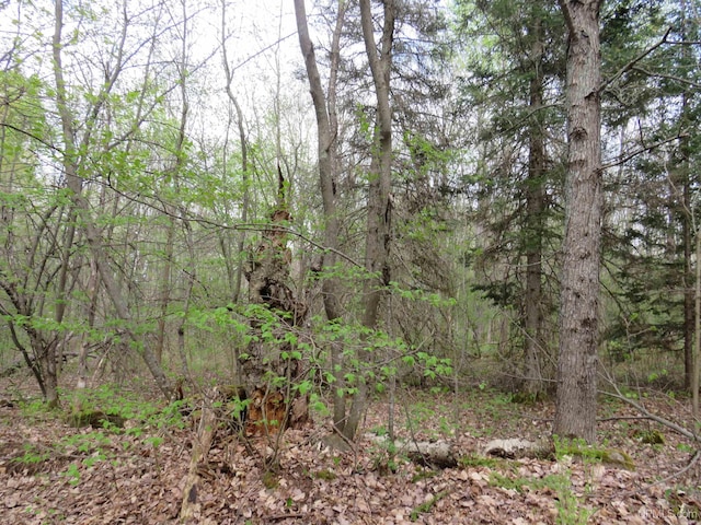 TBD US-2 Hwy, Marenisco, MI 49947