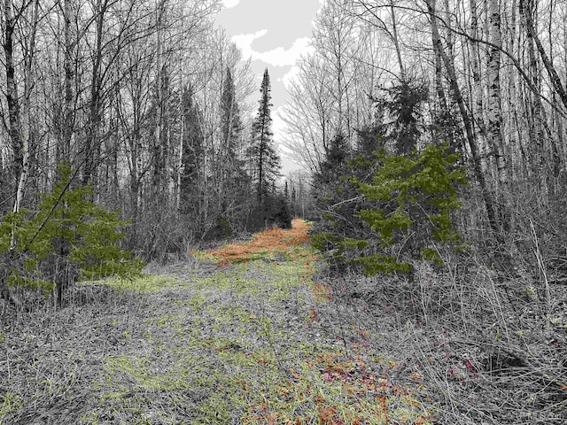 TBD US-2 Hwy, Marenisco, MI 49947