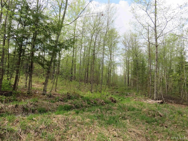 TBD US-2 Hwy, Marenisco, MI 49947