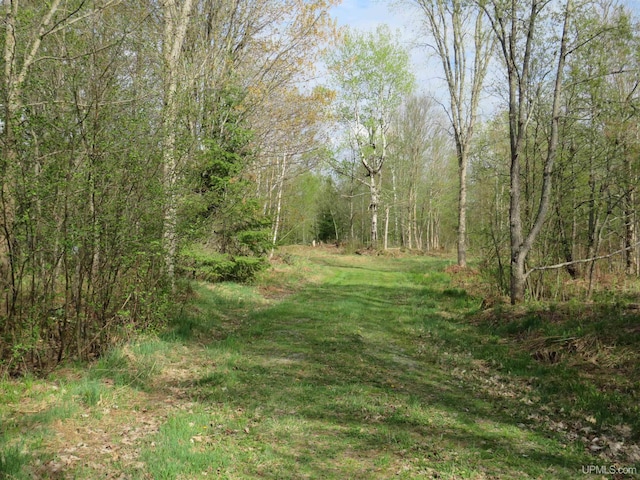 TBD US-2 Hwy, Marenisco, MI 49947