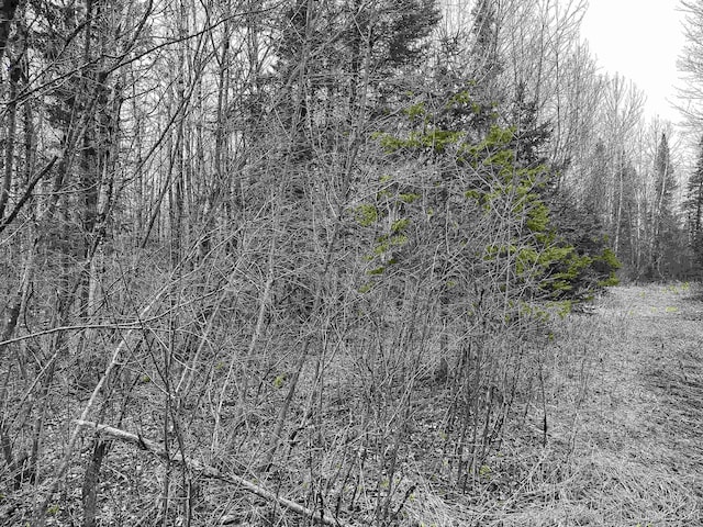 TBD US-2 Hwy, Marenisco, MI 49947