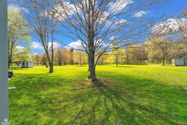 view of green lawn featuring an outbuilding