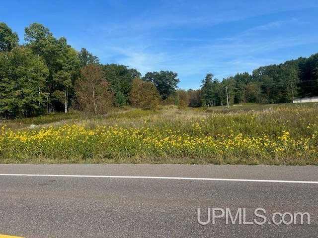 LOT1 Lake Antoine Rd, Iron Mountain, MI 49801