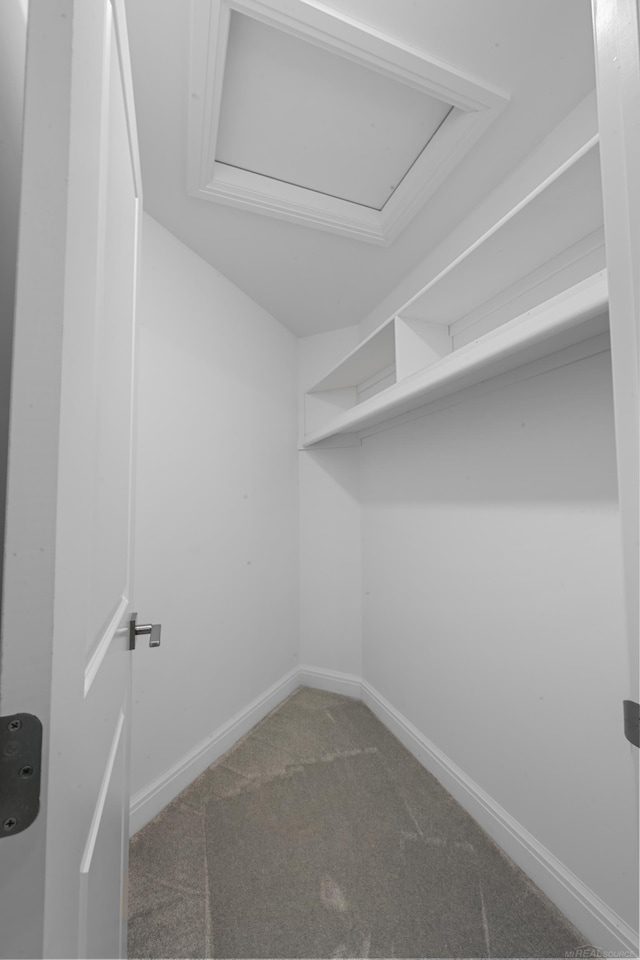 835 Crestwood Ln, Rochester Hills, MI 48309 - walk in closet with carpet floors