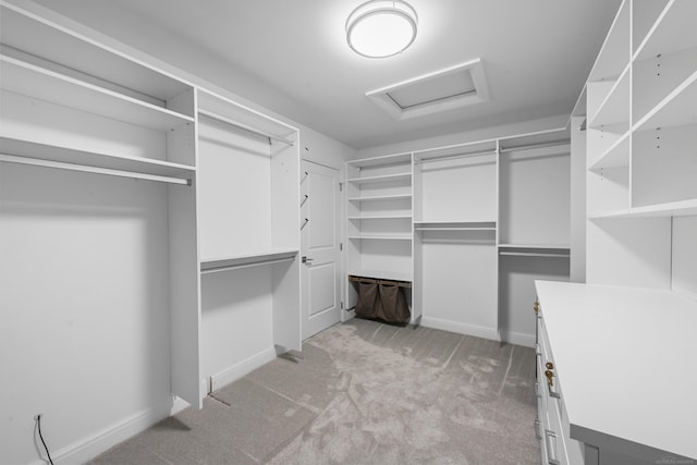 835 Crestwood Ln, Rochester Hills, MI 48309 - walk in closet featuring attic access and light carpet