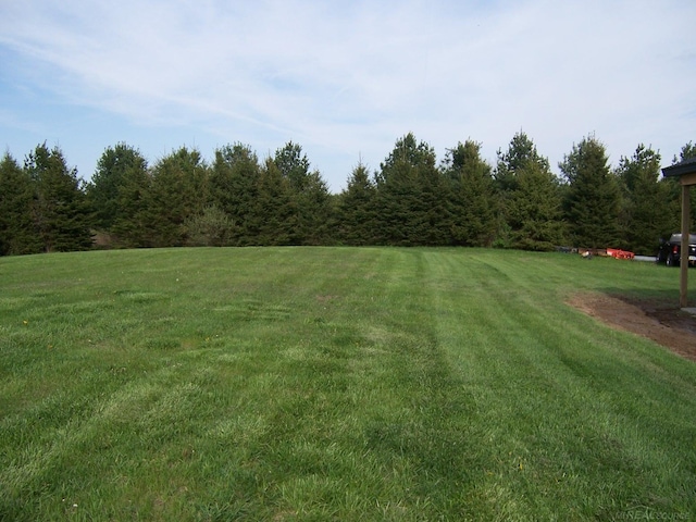 view of grassy yard