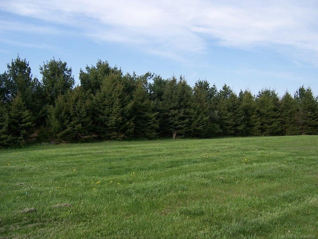 view of green lawn featuring a wooded view and a view of rural / pastoral area