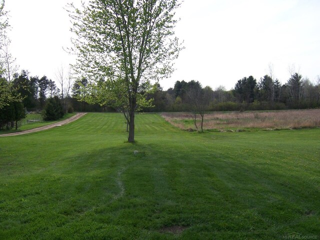view of green lawn