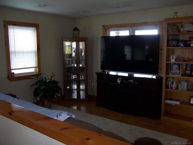 living area featuring wood finished floors