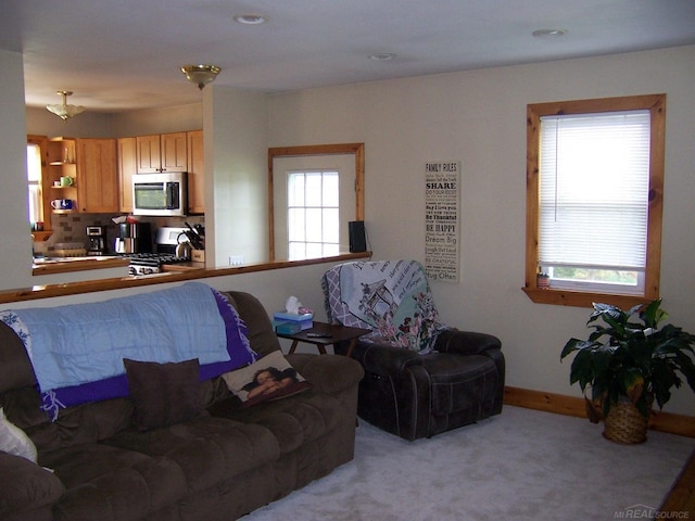 living room with baseboards and carpet flooring