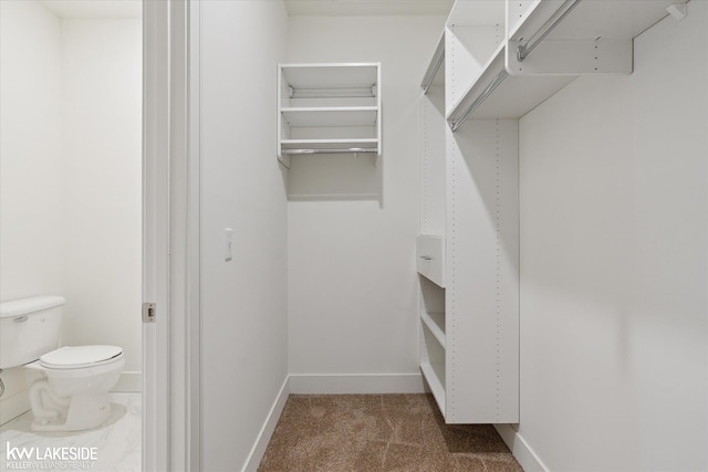 40699 Azalea Ln, Clinton Township, MI 48036 - spacious closet with carpet floors