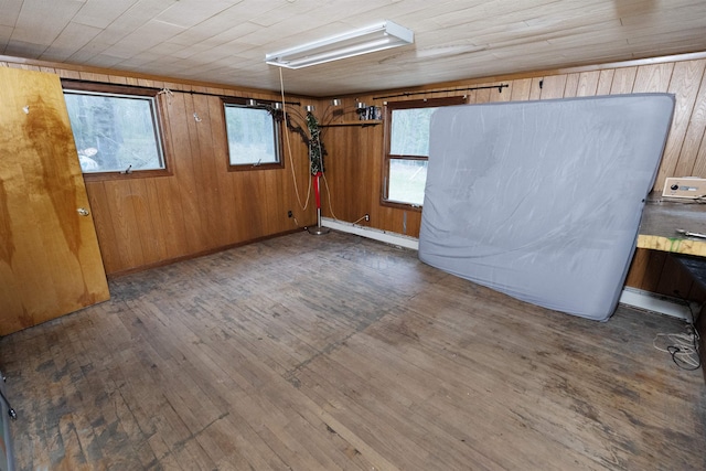 4440 W Cherry Creek Rd, Lewiston, MI 49756 - basement with wood walls and hardwood / wood-style flooring