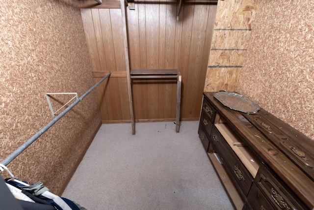 4440 W Cherry Creek Rd, Lewiston, MI 49756 - walk in closet with carpet