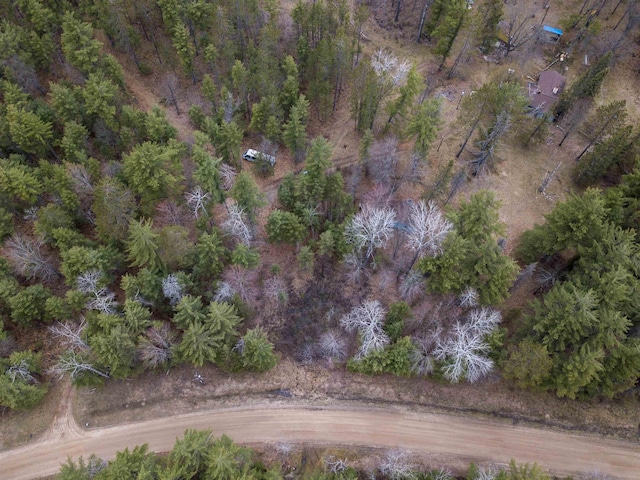 4440 W Cherry Creek Rd, Lewiston, MI 49756 - aerial overview of property's location