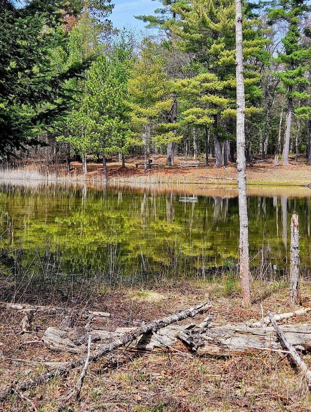 4440 W Cherry Creek Rd, Lewiston, MI 49756 - view of yard with a water view