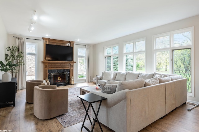 living area with plenty of natural light, a fireplace, and wood finished floors