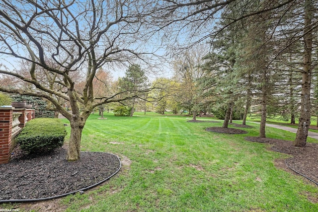 view of grassy yard