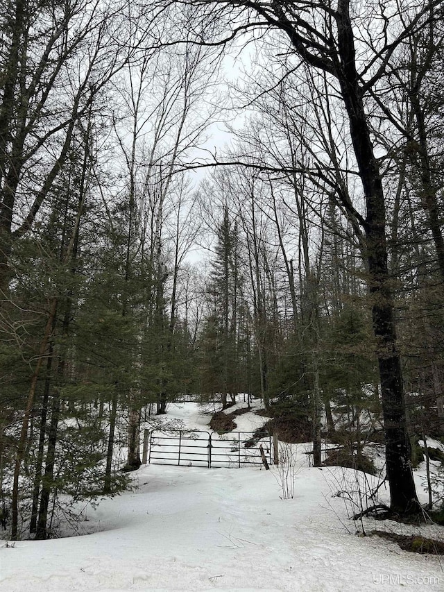 TBD County Rd Fd Trail, Champion, MI 49814