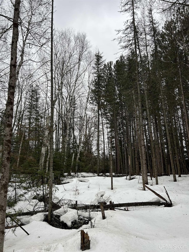 TBD County Rd Fd Trail, Champion, MI 49814