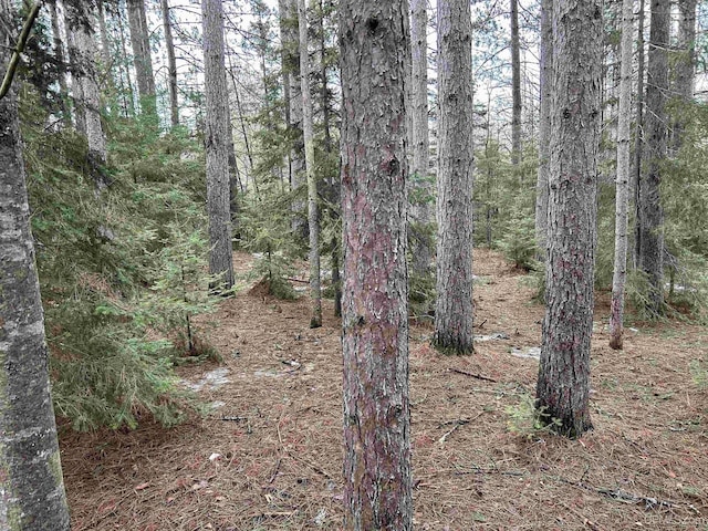 TBD County Rd Fd Trail, Champion, MI 49814