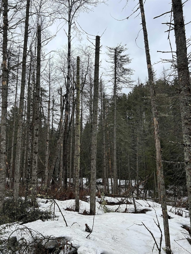 TBD County Rd Fd Trail, Champion, MI 49814