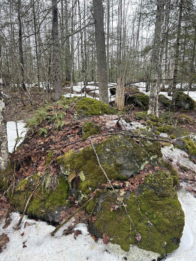 TBD County Rd Fd Trail, Champion, MI 49814