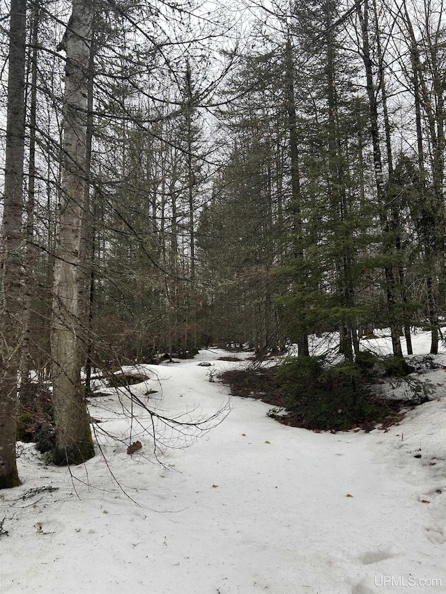 TBD County Rd Fd Trail, Champion, MI 49814