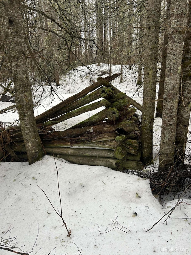 TBD County Rd Fd Trail, Champion, MI 49814
