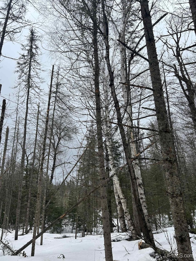 TBD County Rd Fd Trail, Champion, MI 49814