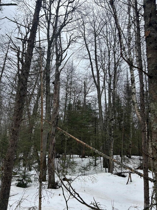 TBD County Rd Fd Trail, Champion, MI 49814