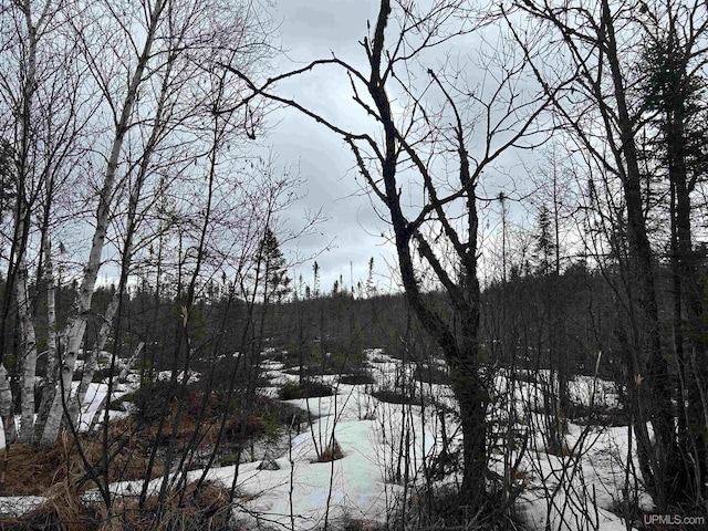 TBD County Rd Fd Trail, Champion, MI 49814
