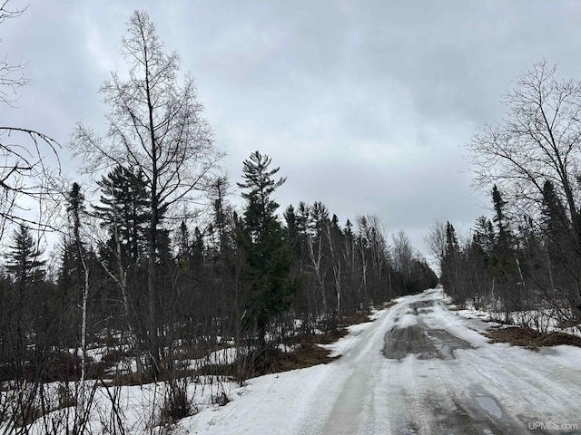 TBD County Rd Fd Trail, Champion, MI 49814