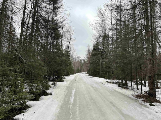 TBD County Rd Fd Trail, Champion, MI 49814