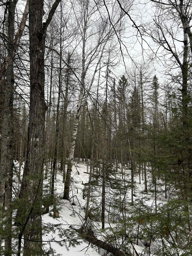 TBD County Rd Fd Trail, Champion, MI 49814