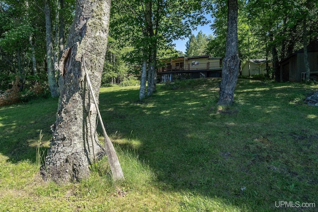 25358 Branch Rd, Michigamme, MI 49861 - view of green lawn featuring a deck