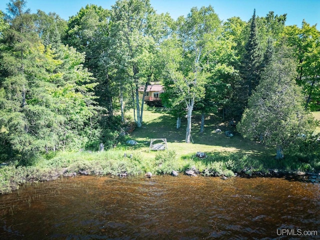 25358 Branch Rd, Michigamme, MI 49861 - view of yard