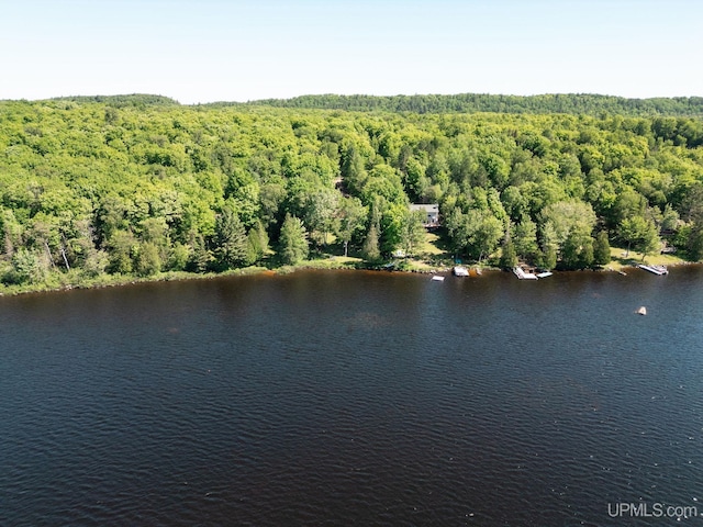 25358 Branch Rd, Michigamme, MI 49861 - aerial view of a nearby body of water and a forest