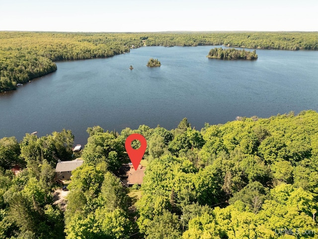 25358 Branch Rd, Michigamme, MI 49861 - drone / aerial view of a forest and a large body of water