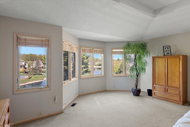 53633 Cherrywood Dr, Shelby Twp, MI 48315 - unfurnished bedroom with light colored carpet, multiple windows, baseboards, and a textured ceiling
