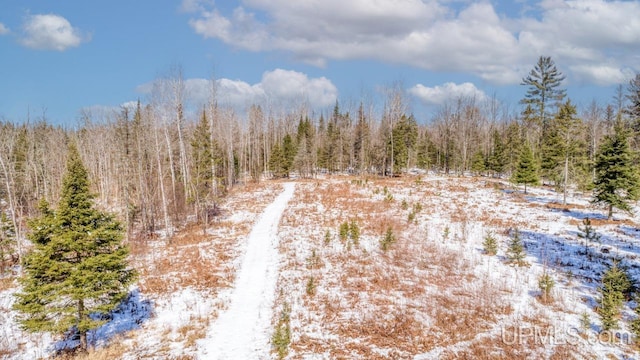 5278 27.5 Rd, Gladstone, MI 49837 - snowy landscape featuring a view of trees