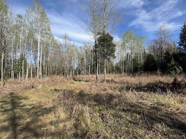 5278 27.5 Rd, Gladstone, MI 49837 - view of woods