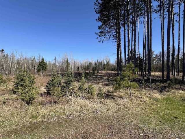 5278 27.5 Rd, Gladstone, MI 49837 - view of nature