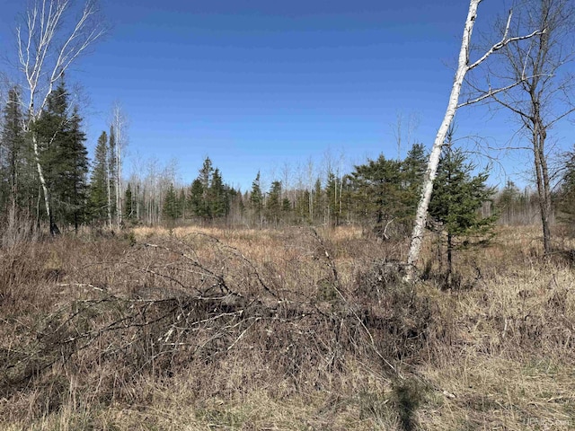 5278 27.5 Rd, Gladstone, MI 49837 - view of local wilderness