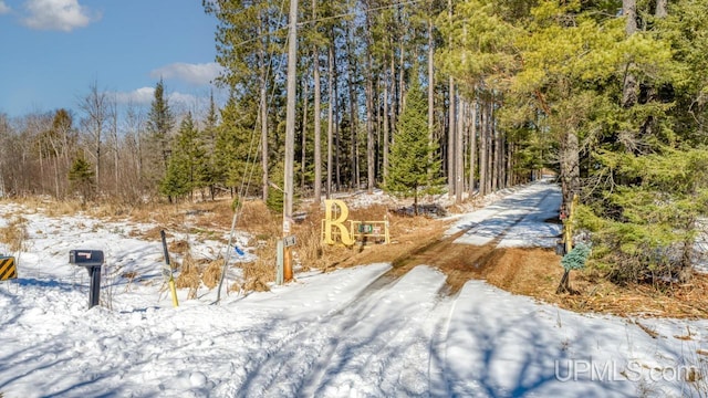 5278 27.5 Rd, Gladstone, MI 49837 - view of road with a forest view
