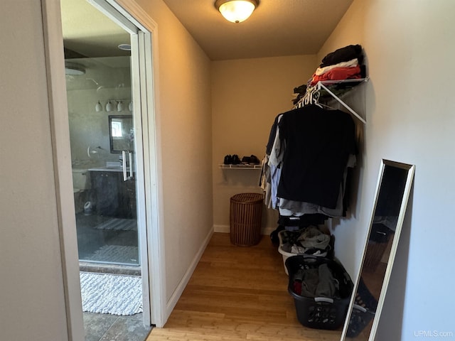 6403 N 1st St, Wells, MI 49894 - spacious closet with light wood-type flooring