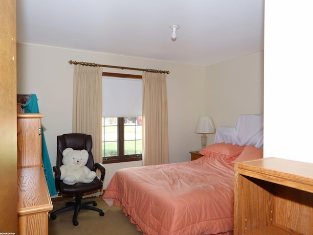 bedroom with carpet flooring