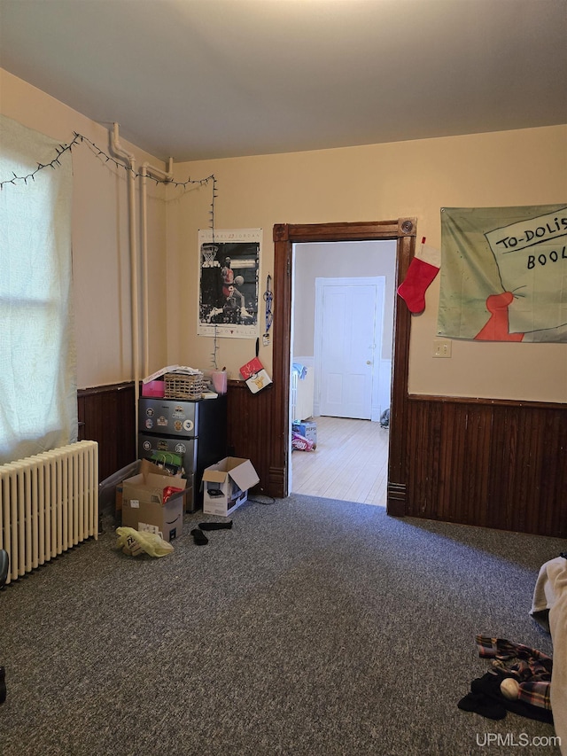 118 S Tamarack St, Laurium, MI 49913 - misc room with radiator heating unit and carpet floors