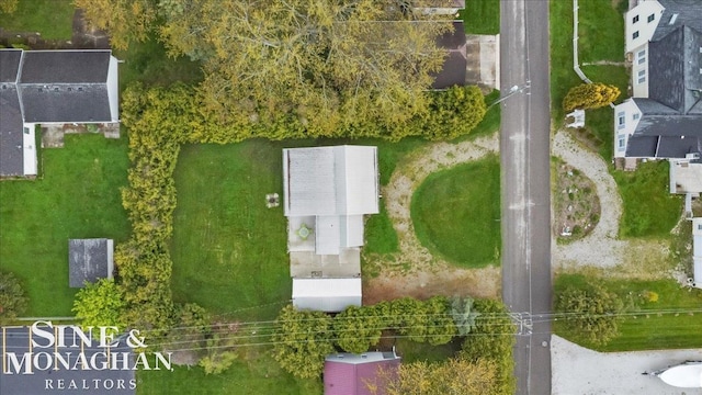 bird's eye view