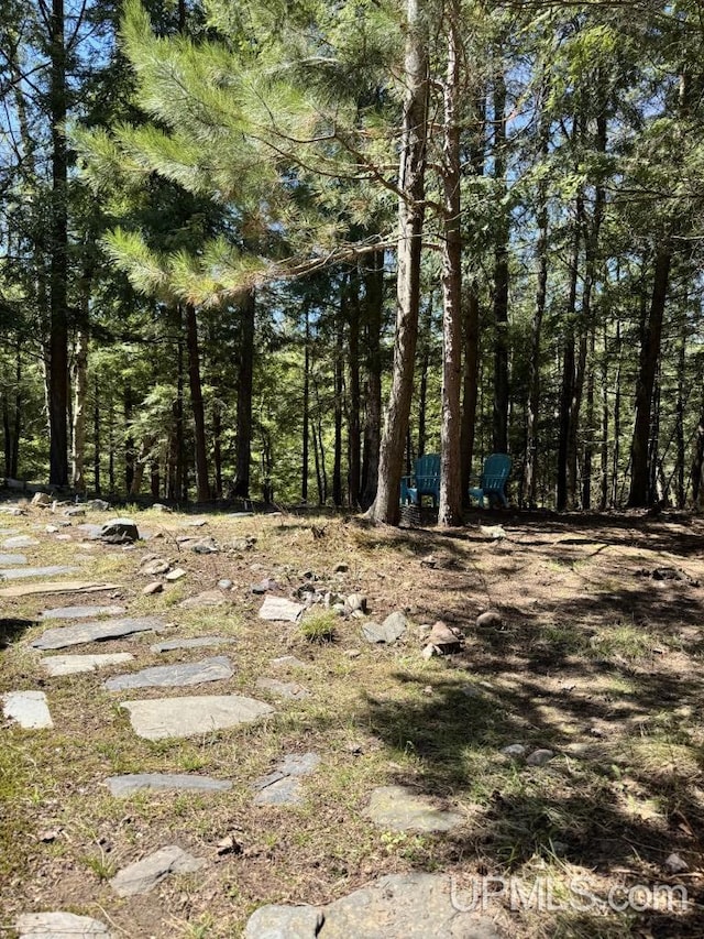 698 E River Dr, Lanse, MI 49946 - view of local wilderness
